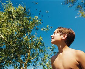 Birdwatching On Keswick Island - Accommodation Melbourne 0