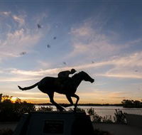 Black Caviar Statue - Accommodation Melbourne