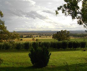 Wollundry Grove Olives - Accommodation Melbourne 1