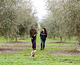 Wollundry Grove Olives - Accommodation Melbourne 3