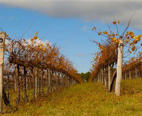 Charles Sturt University Winery Wagga Wagga - Accommodation Melbourne 3