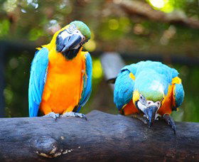 The Rockhampton Zoo - Accommodation Melbourne 2