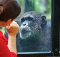 The Rockhampton Zoo - Accommodation Melbourne