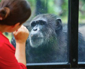 The Rockhampton Zoo - Accommodation Melbourne 0