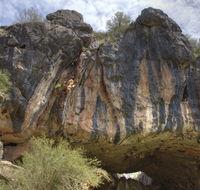 Borenore Karst Conservation Reserve - Accommodation Melbourne