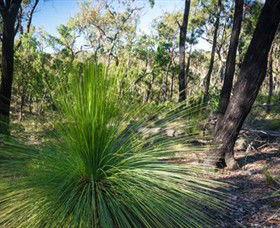 Brisbane Ranges National Park - Accommodation Melbourne 0