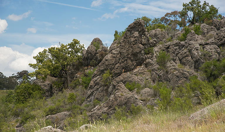Lidster NSW Accommodation Melbourne