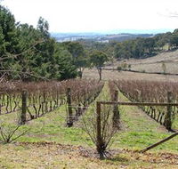 Habitat Vineyard - Accommodation Melbourne
