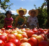 Bonny Glen Fruits - Accommodation Melbourne