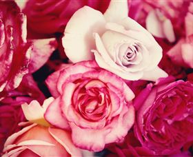 Samaria Farm - Accommodation Melbourne 1