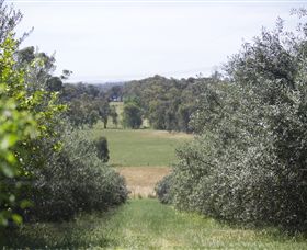 Samaria Farm - Accommodation Melbourne 7