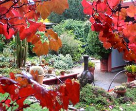 Out Of Town Nursery And Humming Garden - Accommodation Melbourne 1