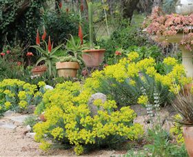 Out Of Town Nursery And Humming Garden - Accommodation Melbourne 8