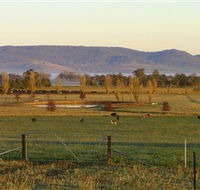 Holbrook Landcare Self-Drive Eco Tour - Accommodation Melbourne