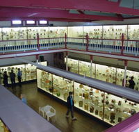 National Museum of Australian Pottery - Accommodation Melbourne