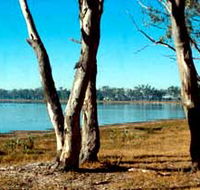 Lake Broadwater Conservation Park - Accommodation Melbourne