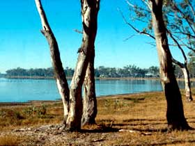 Lake Broadwater Conservation Park - Accommodation Melbourne 0