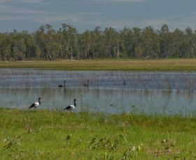 Lake Broadwater Conservation Park - Accommodation Melbourne 1