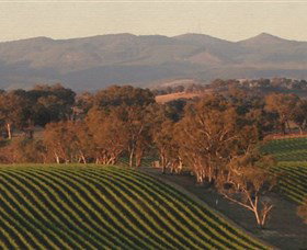 Angullong Wines - Accommodation Melbourne 0