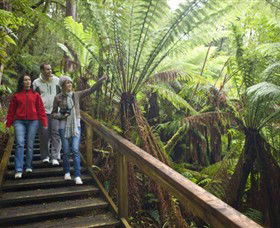 Otway Fly Treetop Adventures - Accommodation Melbourne 0