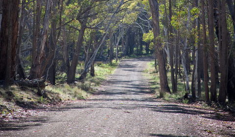 Coolah Tops National Park - Accommodation Melbourne 1
