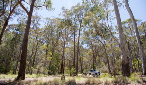 Coolah Tops National Park - Accommodation Melbourne 0