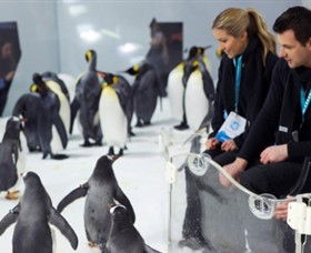 SEA LIFE Melbourne Aquarium - Accommodation Melbourne 2