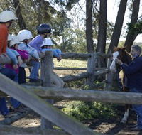 Harlow Park Horse Riding - Accommodation Melbourne