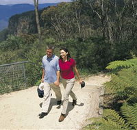 Blue Mountains Walking Tracks - Accommodation Melbourne