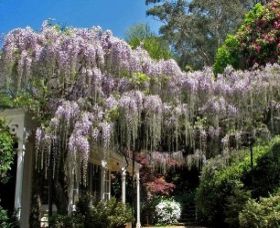Mount Wilson NSW Accommodation Melbourne
