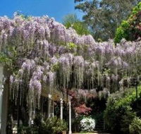 Nooroo Gardens - Accommodation Melbourne