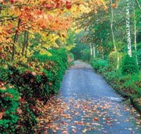Mount Wilson and Mount Irvine - Accommodation Melbourne