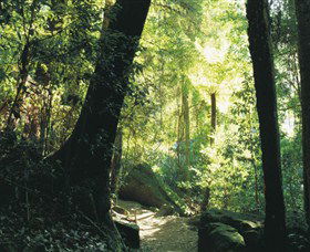 Blue Mountains National Park - Accommodation Melbourne 5
