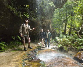 Blue Mountains National Park - Accommodation Melbourne 3