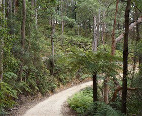 Blue Mountains National Park - Accommodation Melbourne 8