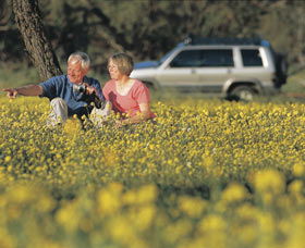 Coalseam Conservation Park - Accommodation Melbourne 0
