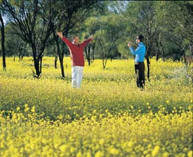 Coalseam Conservation Park - Accommodation Melbourne 2