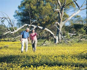 Coalseam Conservation Park - Accommodation Melbourne 3