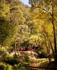 Walhalla Goldfields Railway - Accommodation Melbourne 3