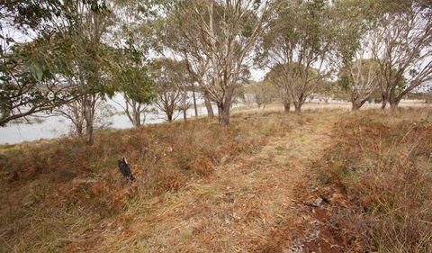 Lagoon Circuit Walking Track - Accommodation Melbourne 1