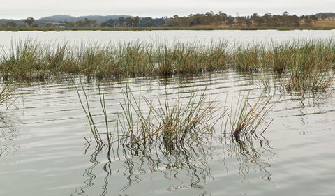Lagoon Circuit Walking Track - Accommodation Melbourne 3