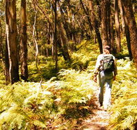 Federal Pass - Accommodation Melbourne