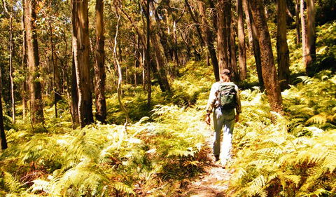 Federal Pass - Accommodation Melbourne 0
