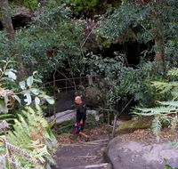 Leura Cascades Fern Bower - Accommodation Melbourne