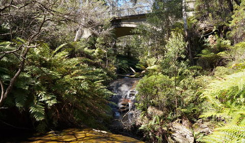 Leura Cascades Fern Bower - Accommodation Melbourne 3
