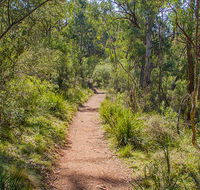 Mares Forest Creek walking track - Accommodation Melbourne