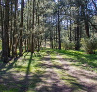 Wombeyan Waterfall walking track - Accommodation Melbourne