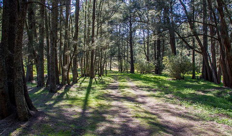 Wombeyan Waterfall Walking Track - Accommodation Melbourne 0