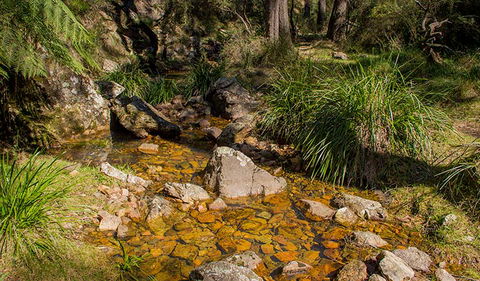 Wombeyan Waterfall Walking Track - Accommodation Melbourne 1