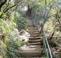 Nature track - Accommodation Melbourne